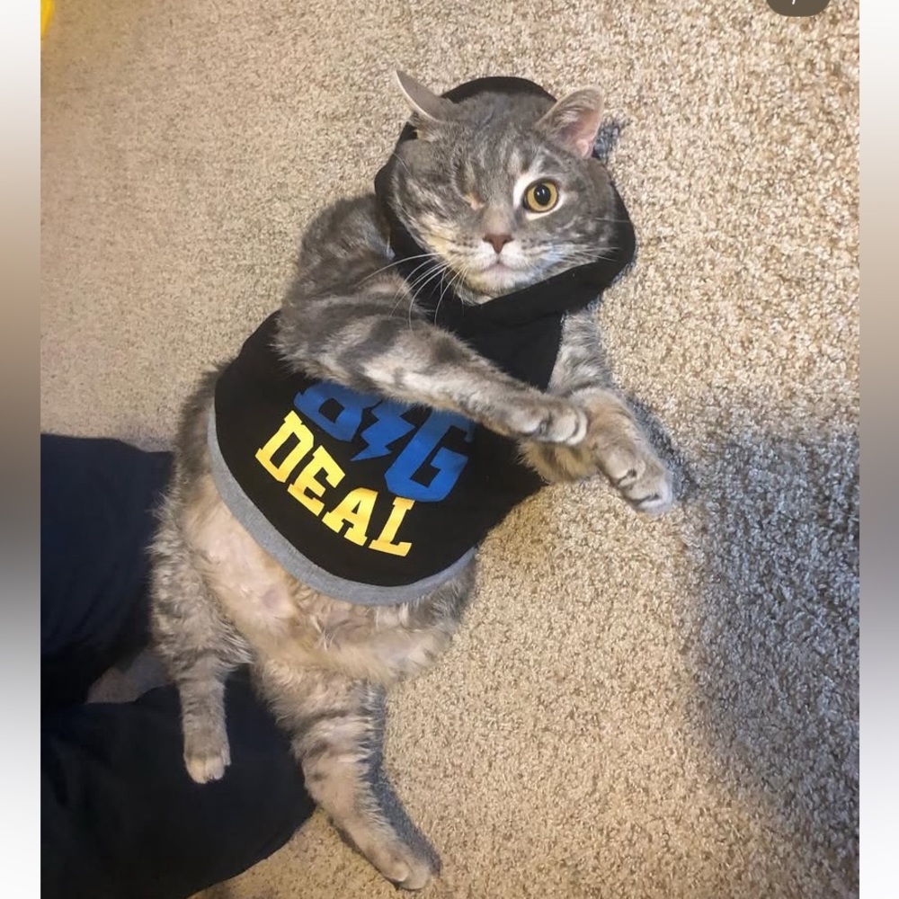 Little Guy’s sweatshirt